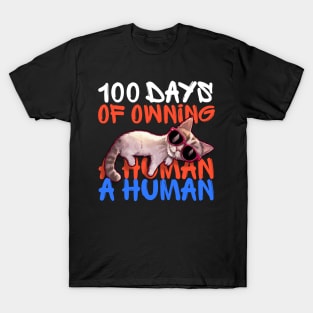 100 days of owning a human - funny cat with sunglasses T-Shirt